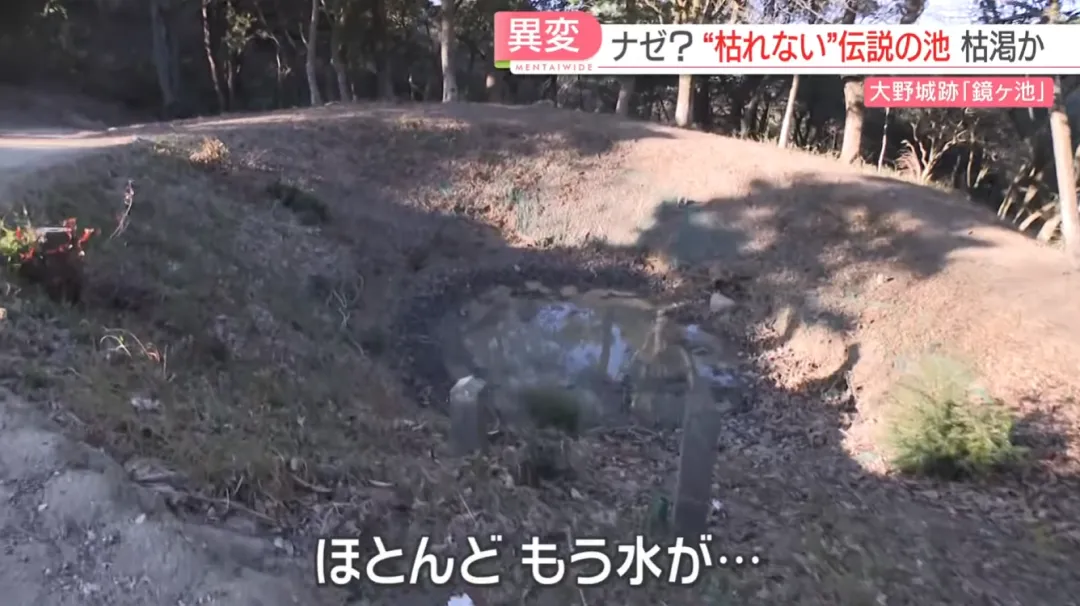 福冈“永不干涸”池塘异常